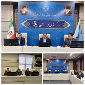  توزیع ۴۶ تن مرغ تنظیم بازار در ایلام و هشدار قضایی به متخلفان اقتصادی