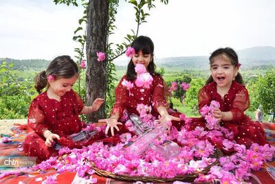  جشنواره گلاب‌گیری بانه در تقویم رویدادهای گردشگری کشور ثبت ملی شد