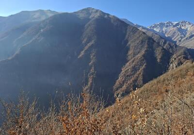  شیب ۸۰ درصدی جنگل الیت؛ سندی روشن بر بطلان شایعه ویلاسازی