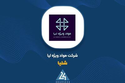  نگاهی به گزارش عملکرد 3 ماهه «شلیا»