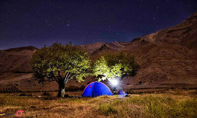  هوای پاک در «دشت هویج»