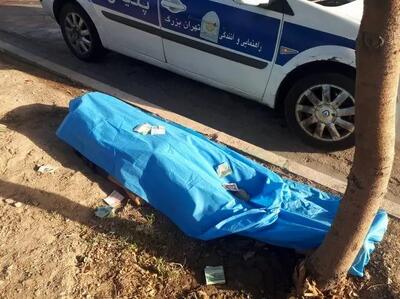  جان‌باختن عابر هنگام عقب‌رفتن در مواجهه با سگ