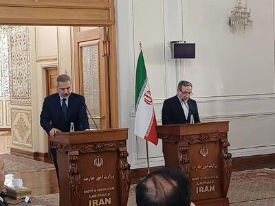  در آینده نزدیک شاهد گشایش سرکنسولگری ایران در شهر وان خواهیم بود/ رژیم صهیونیستی نقشه‌های بزرگ‌تری برای بی ثباتی در منطقه دارد