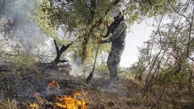  آتش‌سوزی سطحی در ۲۰ هکتار از جنگل های گیلان در سال جاری