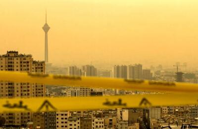  خسارت ۱۷ میلیارد دلاری آلودگی هوا در سال گذشته؛ از تعطیلی‌ها تا مرگ و میر انسان - ایران ویو 24