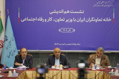  میدری: مسیر توسعه تعاونی‌ها از رفع موانع می‌گذرد