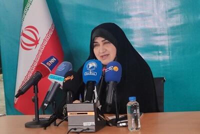  هشدار رئیس فراکسیون محیط زیست درباره تاثیر خودروهای داخلی و فرسوده بر افزایش آلودگی هوا