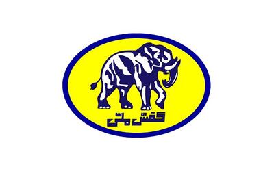  ورود دیوان محاسبات به واگذاری غیرقانونی ملک شرکت کفش ملی