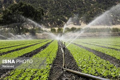  تجهیز ۶۷ هزار هکتار اراضی کشاورزی زنجان به سیستم آبیاری نوین