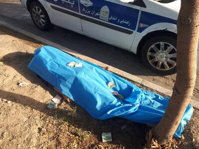  یک قلاده سگ، عامل تصادف مرگبار و فوت عابر پیاده در بزرگراه لشگری
