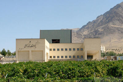  رئیس پژوهشگاه انگور: برای حل مشکلات باغات انگور ملایر نیازمند جذب طرح‌های برون‌سازمانی هستیم