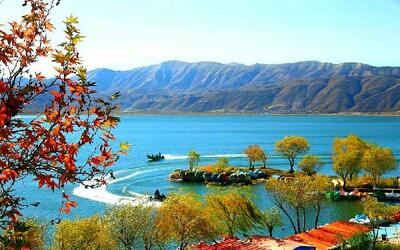  تپش زندگی در نگین غرب/ وقتی حالِ خوش «زریوار» آرزوی تالاب‌های ایران است+ فیلم