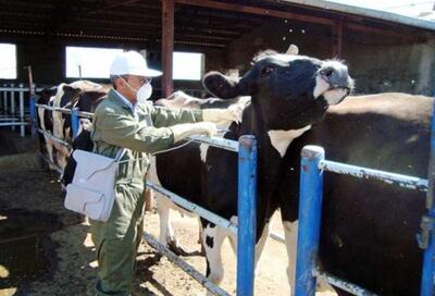  مدیرکل دامپزشکی اصفهان: قدرت سرایت تب برفکی ۵ برابر کرونا است