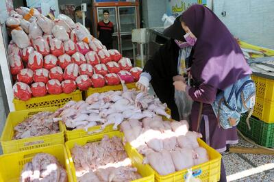  گرانی مرغ؛ ارز ترجیحی فقط ۳۶ درصد هزینه تولید را پوشش می‌دهد