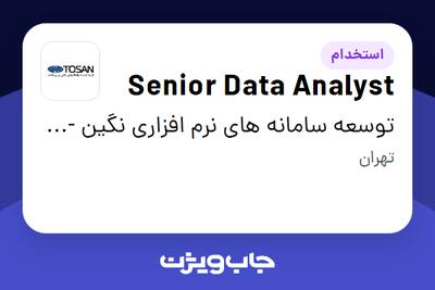  استخدام Senior Data Analyst در توسعه سامانه های نرم افزاری نگین - توسن