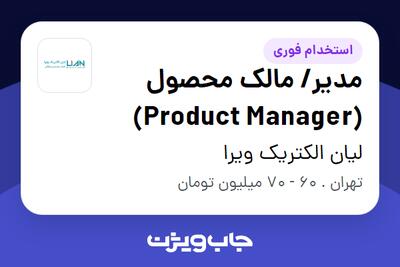  استخدام مدیر/ مالک محصول (Product Manager) در لیان الکتریک ویرا