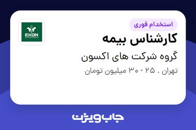  استخدام کارشناس بیمه - خانم در گروه شرکت های اکسون