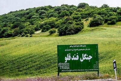 ورود به جنگل های استان اردبیل ممنوع شد