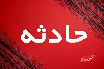  عابرپیاده از ترس سگ وارد بزرگراه شد و جان باخت - کلبه سرگرمی