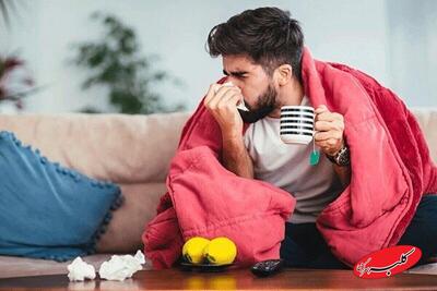  این خوراکی ها به بهبود آنفلوآنزا کمک می کند - کلبه سرگرمی