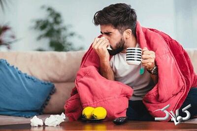  این خوراکی ها به بهبود آنفلوآنزا کمک می کند - مجله اینترنتی کولاک