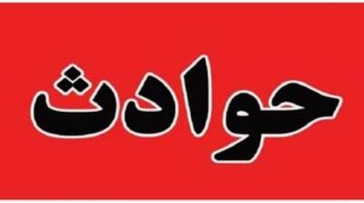  درگذشت همسر معاون رئیس‌جمهور طی سانحه رانندگی - مردم سالاری آنلاین