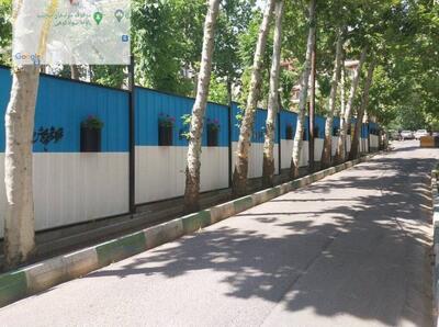  اصلاح هندسی بلوار ناهارخوران بدون قطع حتی یک درخت