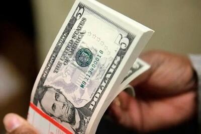  قیمت دلار و یورو در صرافی ملی امروز ۹ آذر ۱۴۰۴ / دلار گران شد