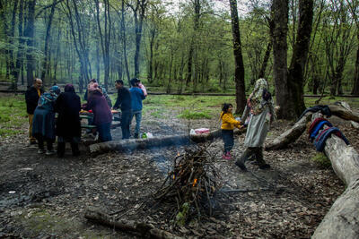  گردشگری بدون ضابطه چالش نوظهور جنگل‌های هیرکانی