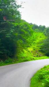  فیلم منطقه جنگلی و کوهستانی بلوردکان گیلان