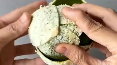  فیلم آموزش ساخت گل با پوست نارنگی