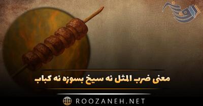  معنی ضرب المثل نه سیخ بسوزه نه کباب + داستان و انشا