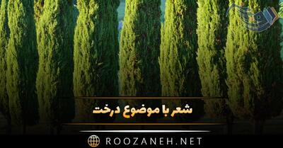  شعر با موضوع درخت 🌲؛ اشعار دلنشین در وصف درخت، طبیعت و درختان
