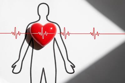  هوش مصنوعی با تشخیص سن واقعی قلب، حمله قلبی را پیش‎‌بینی می‌کند