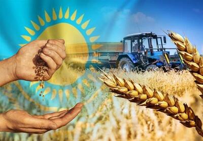  چرخش استراتژیک آذربایجان؛ جایگزینی گندم قزاقستان به جای محصول روسی - تسنیم