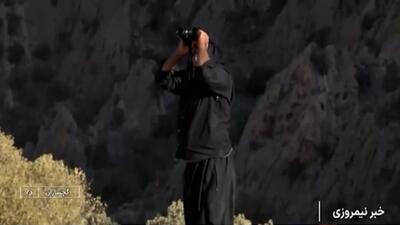  آغاز طرح سرشماری حیات وحش در مناطق گرمسیری کهگیلویه و بویراحمد + فیلم