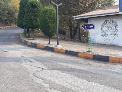  نامگذاری خیابانی در لاهیجان به نام چای
