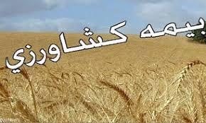  پرداخت خسارت بیمه محصولات کشاورزی در خانمیرزا