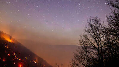  پیش بینی خسارت ۲۰ درصدی درختان جنگل های الیت/ ۱۵۰ تا ۱۸۰ هکتار جنگل الیت درگیر آتش شد