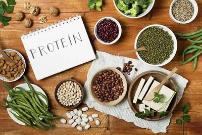  کدام پروتئین سریع تر عضله می سازد؛ وی یا پروتئین گیاهی؟