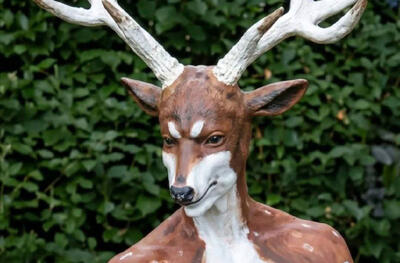  مرد گوزن‌نما در آمریکا به اشتباه شکار شد!