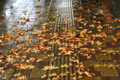  چشم تهرانی‌ها بالاخره به باران روشن شد