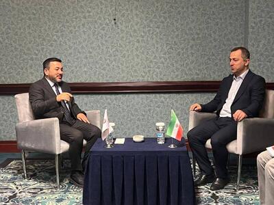  ملاقات علیرضا رحیمی با رئیس سازمان جوانان کشور‌های اسلامی در حاشیه اجلاس استانبول