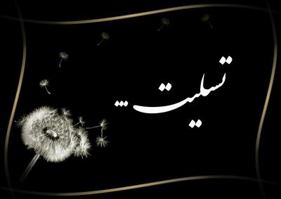  مدیر سرشناس ورزش ایران درگذشت