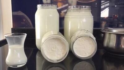  طرز تهیه ماست سفت قالبی با ۱ لیتر شیر در بطری های شیشه ای