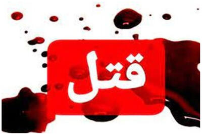  قتل در ولنجک؛ یک وکیل همکارش را با خودرو زیر گرفت