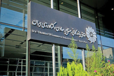  سهم اقتصاد دیجیتال در تصمیم‌سازی