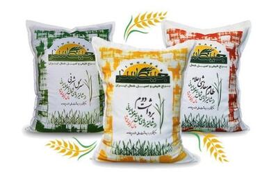  اخبار قیمت برنج؛ برنج ایرانی امروز کیلویی چند؟
