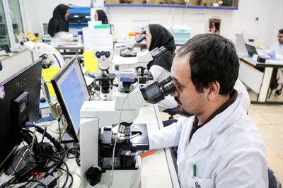  مسئله‌حل‌کن‌ها، خودشان بخشی از مسئله‌اند