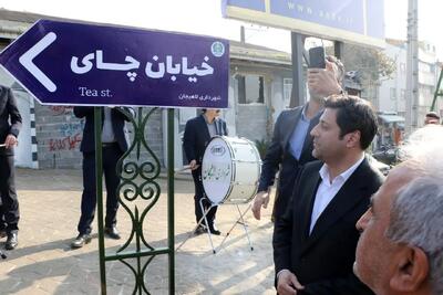  خیابان چای در لاهیجان نامگذاری شد/ پاسداشت هویت تاریخی شهر